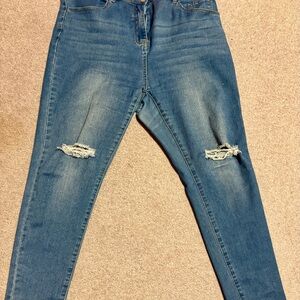 Well Worn Plus Size High Waisted Skinny Jeans 14